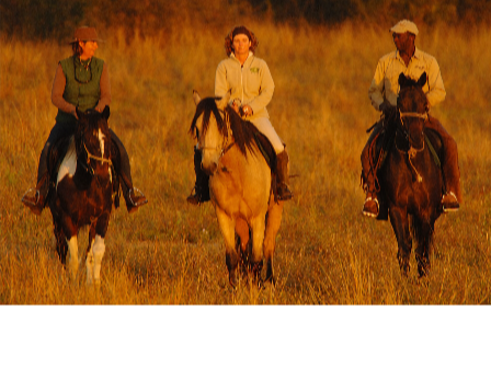 Ride Zimbabwe Hwange Safari 